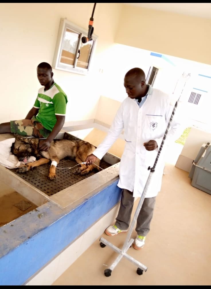 VetSoul Academy founder in a veterinary clinical setting