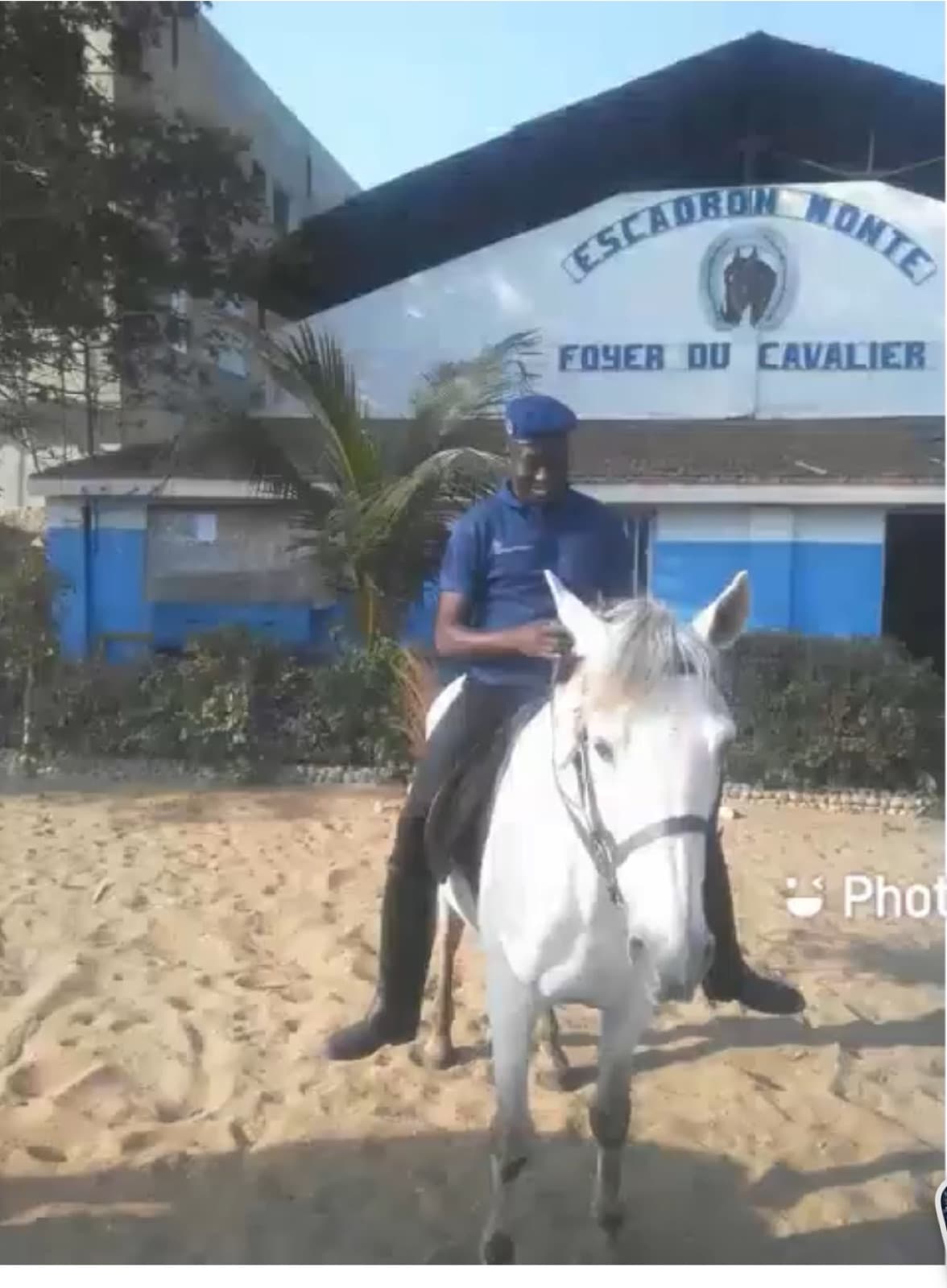 VetSoul Academy founder providing clinical animal care